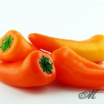 stock_vier-orange-mini-paprika