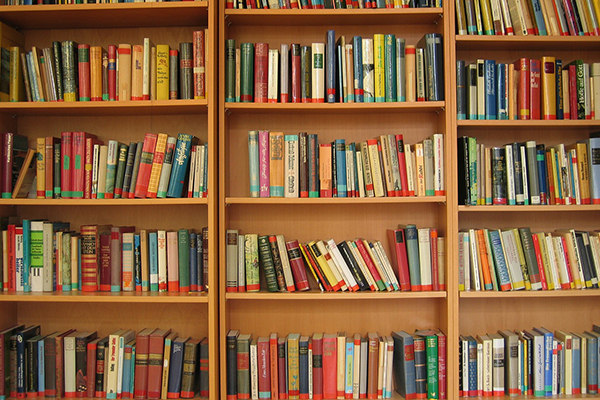 Bücher in einem Bücherregal