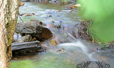 Mit dem Stativ und Graufilter in die Natur