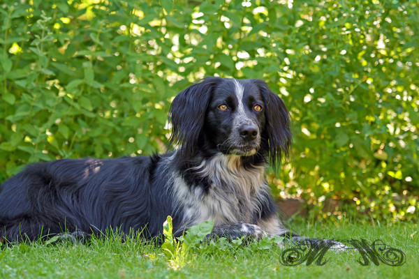Fotoshooting Sally (Juli 2013)