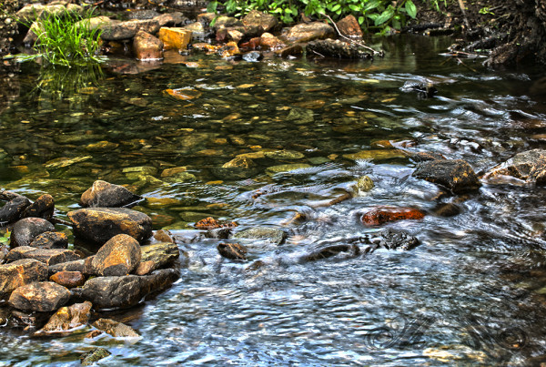 Spaziergang im Woogtal im Sommer 2011 (HDR)
