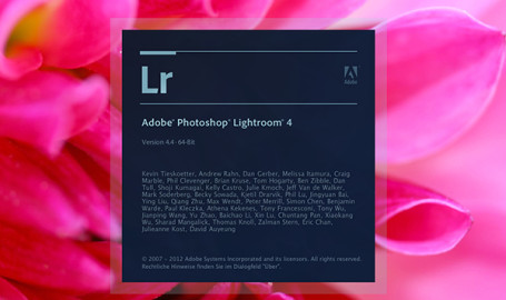 Ordnung in Lightroom zahlt sich aus