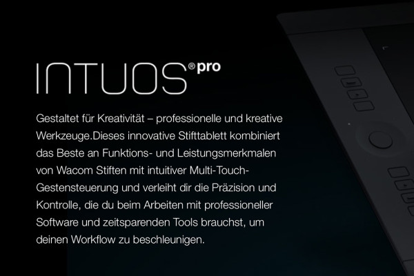 Wacom Intuos Pro (Modelle 2013)