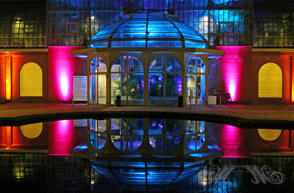 Winterlichter im Palmengarten Frankfurt (2014)