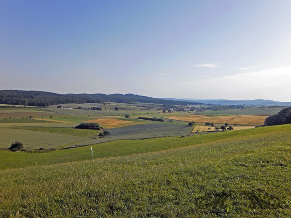 Nordhang an der Ronneburg am Morgen