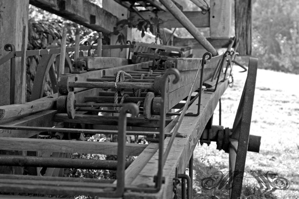 Foto: Manuel Murgas