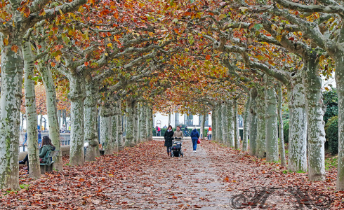 Erster Test: Mit der Canon EOS 7D Mark II in Mainz